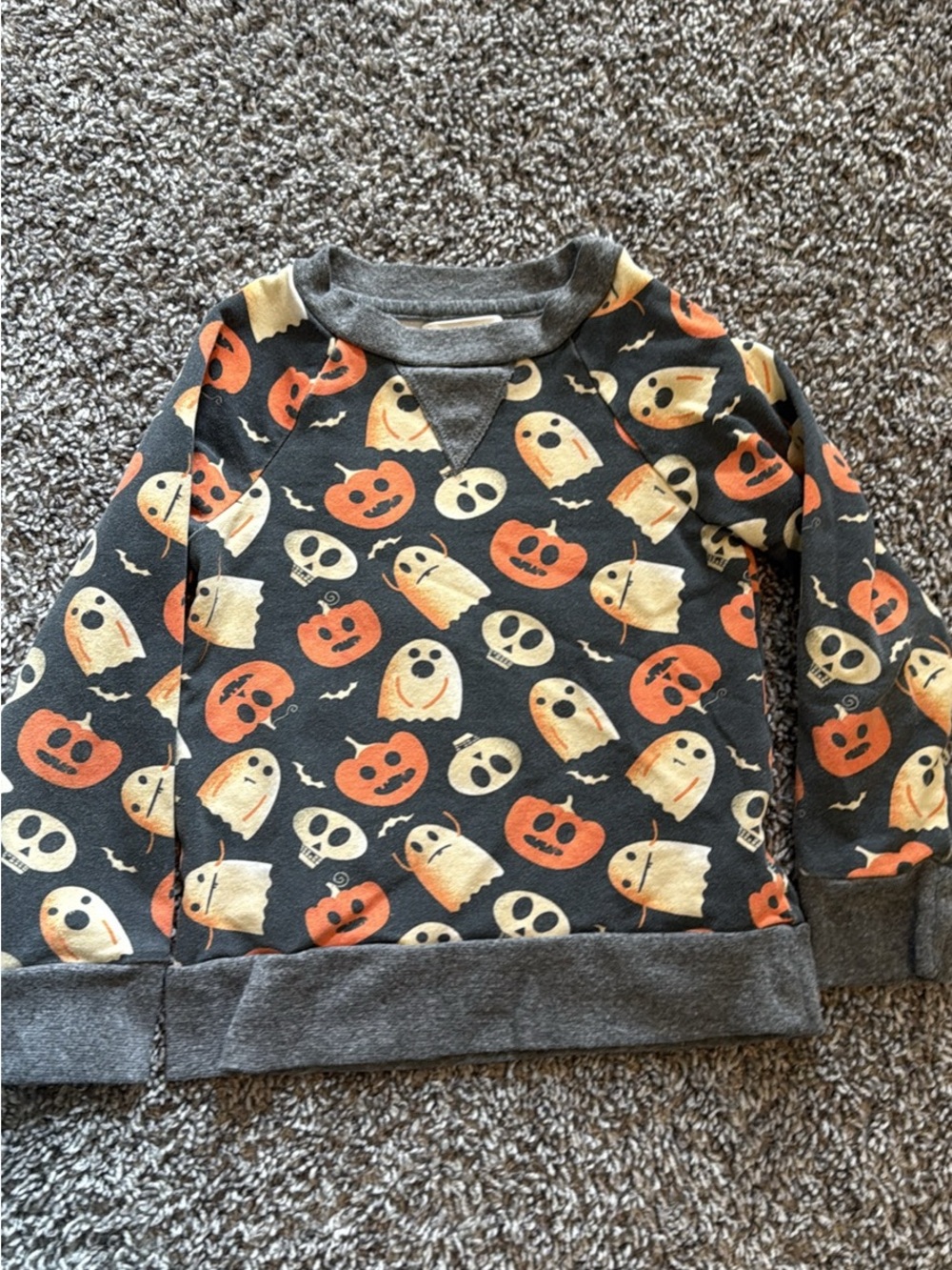 Kids Halloween Ghost & Pumpkin Pullover Sweatshirt - Gray